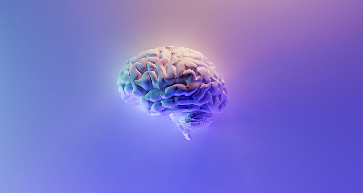 Тесты На Внимание И Память  И Без Регистрации